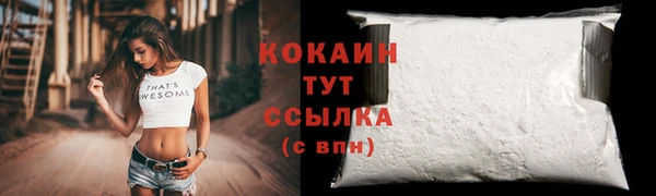 кокс Алексин